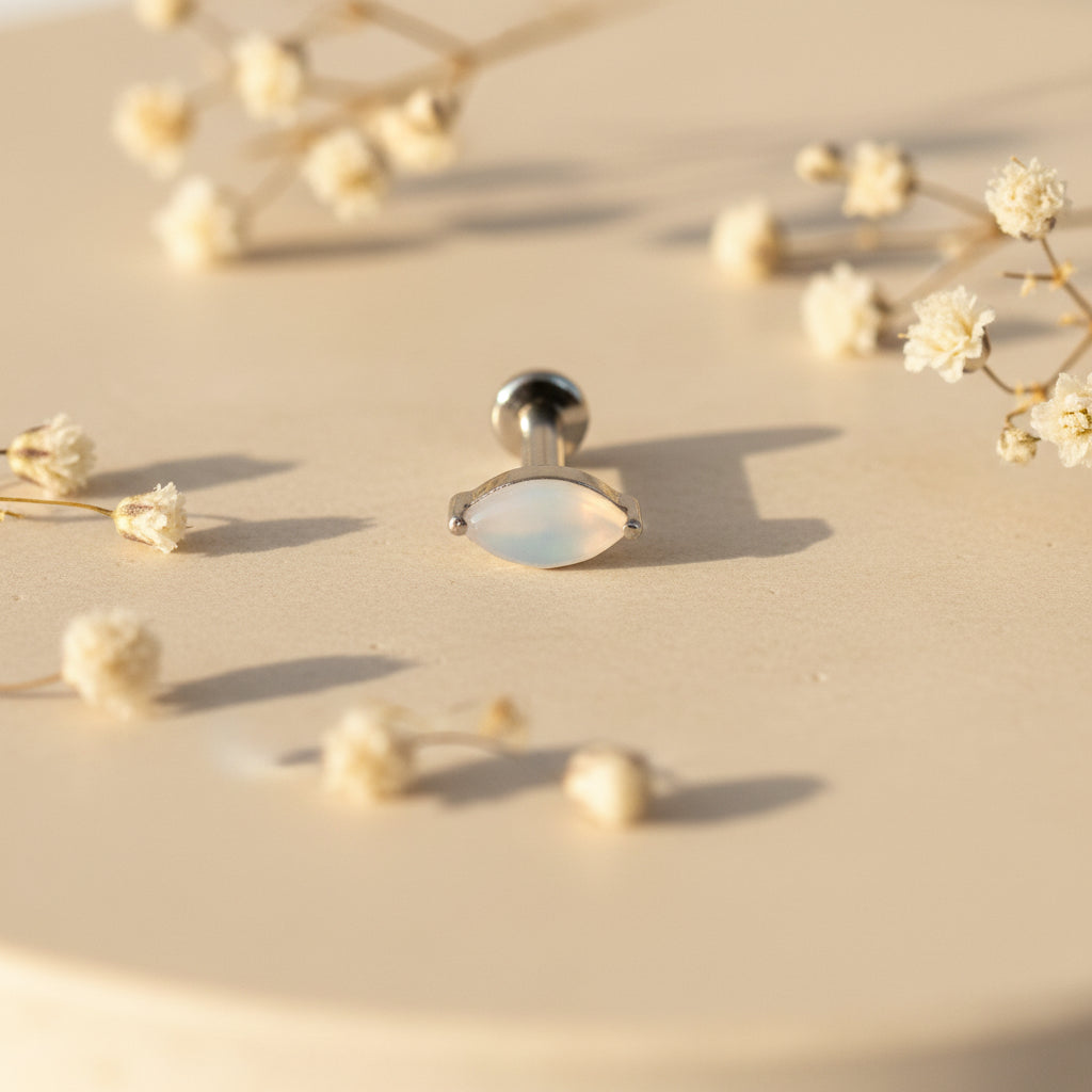 Labret Pérola Shell em Titânio