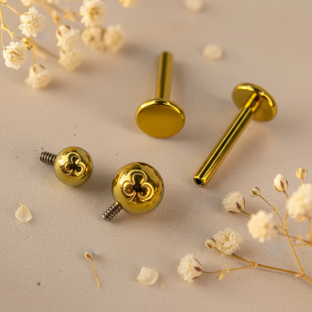 Labret Tradicional Titânio