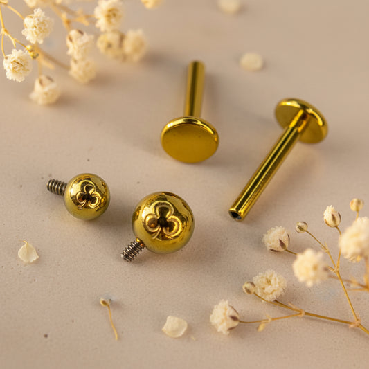 Labret Tradicional Titânio